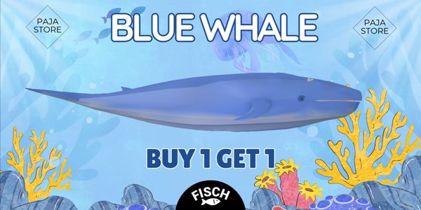 Blue Whale | Exotic Fish