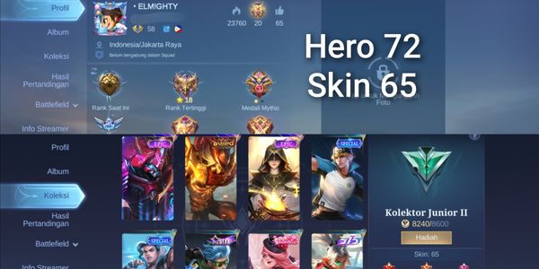 Cheap GG Account (Hero + Many Skins)