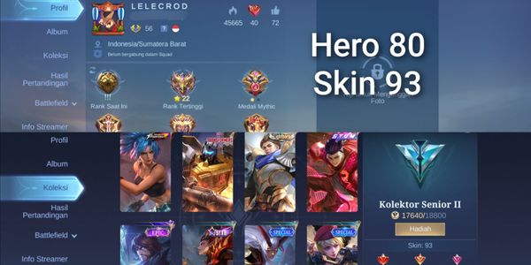 Cheap GG Hero Mobile Legends Account + Lots of Skins