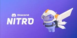 1 Year Nitro