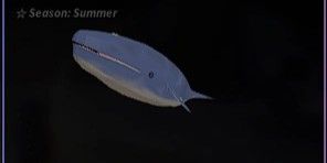 BLUE WHALE