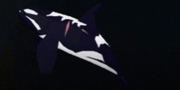 ORCA