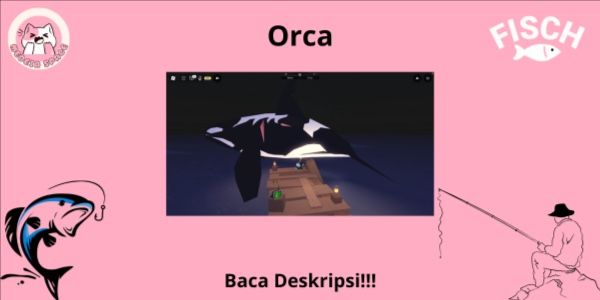 Orca