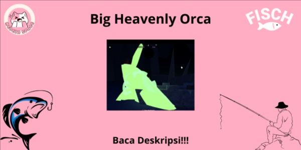 Heavenly Orca
