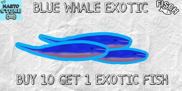 Blue Whale | Exotic | Fish