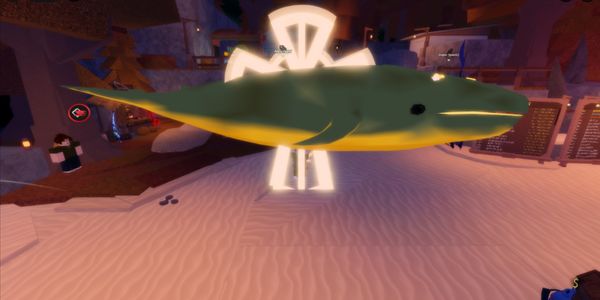 Heavenly Blue Whale | Exotic Fish | Fisch