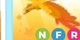 phoenix nfr