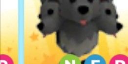Cerberus nfr