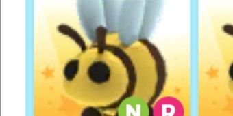 bee nr