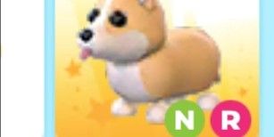 Corgi nr