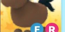 horse fr