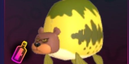 Sea Bear