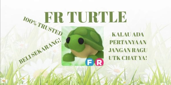 Turtle