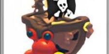 Pirate Hermit Crab
