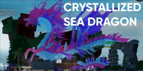CRYSTALLIZED SEA DRAGON !!