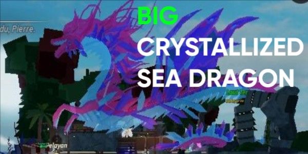 BIG CRYSTALLIZED SEA DRAGON !!