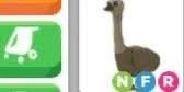 Emu NFR