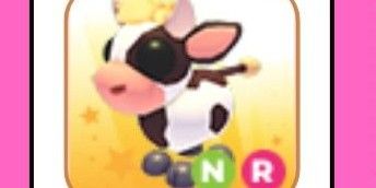 Cow Calf NR
