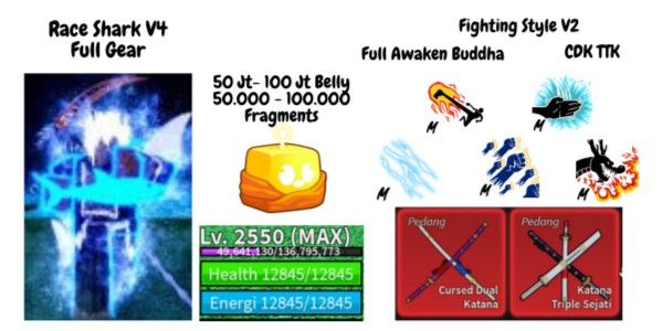 Blox Fruit Race Shark V4 Full Gear T10 (Awakening) Account (MAX Level)