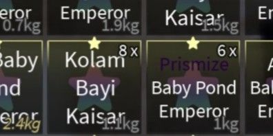 BABYPOND EMPEROR Secret fish