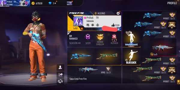 FREE FIRE/FF CHEAP ACCOUNT || SG SKIN HAS 5 AQUA, TRUMPET, MAMBA, BUNNY, HOLY BULLET || VAULT 64 || EVO XM8 LEVEL 5.