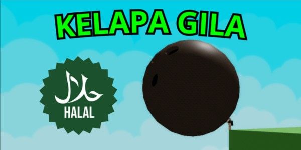 KELAPA GILA 100KG+