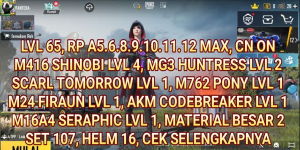 M416 SHINOBI AKUN PUBG MOBILE SULTAN