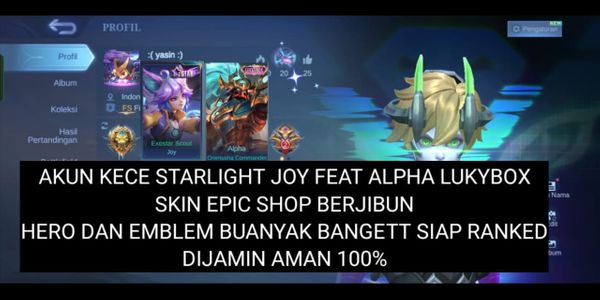 COOL ACCOUNT JOY STARLIGHT FEAT ALPHA LUKYBOX EPIC SHOP SKINS A LOT AND DEFINITELY CHEAP AND 100% GUARANTEED SAFE