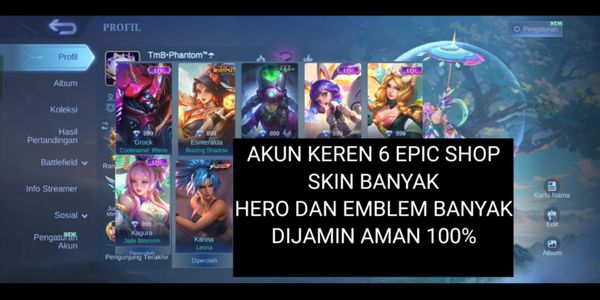 COOL ACCOUNT CHEAP 6 EPIC SHOP HEROES AND MANY EMBLEMS READY FOR RANK SKINS IN ABUNDANCE GUARANTEED 100% SAFE