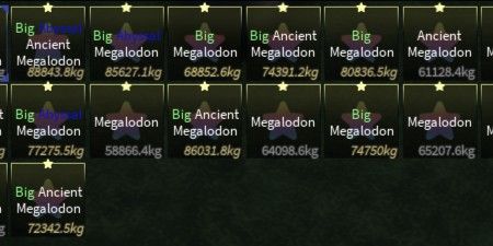 Ancient Megalodon