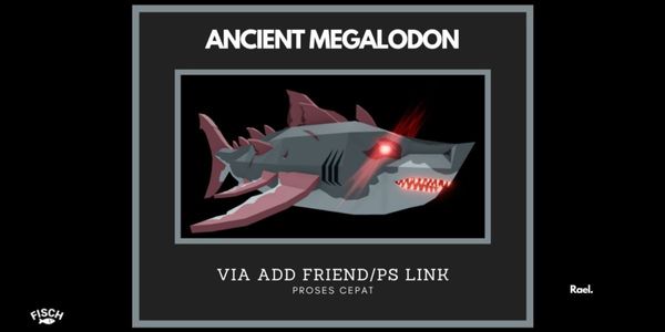 Ancient Megalodon