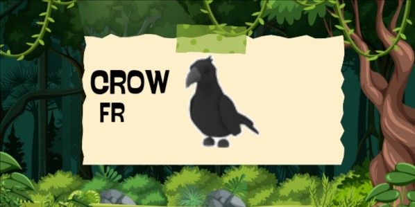 Crow FR (French) to :  

Crow FR