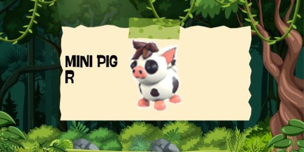 Mini Pig