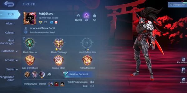 Akun Assasin is a hardcore player, owns Hayabusa luckybox skin, Natalia Collector, Link Dragon Tamer, Lancelot Dragon Tamer, Harith Lightborn.