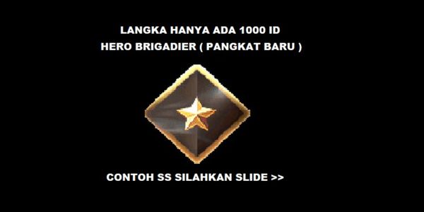 PLAIN DATA BRIGADIER HERO