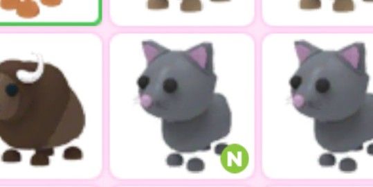neon cat