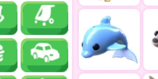 Dolphin