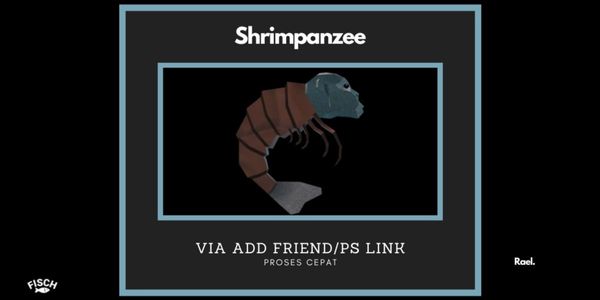 Shirmpanzee