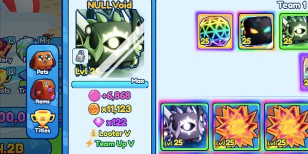 Shiny NULLVoid