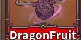Dragon Fruit