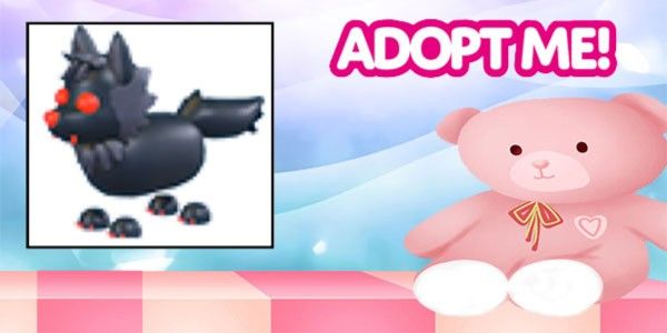 Buy Pet 