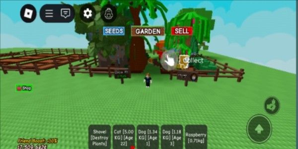 GROW A GARDEN MANY PLANTS LIMITED MANY GOOD PETS HAVE FRUIT CANDY BLOSSOM
