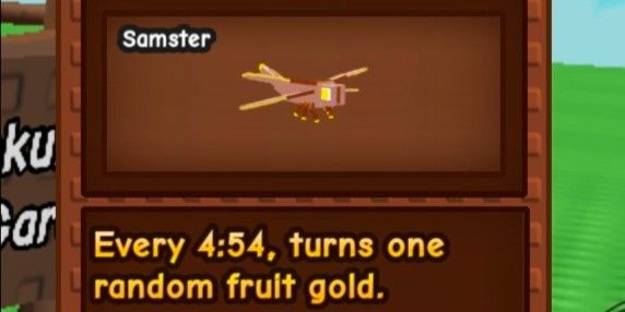 DRAGONFLY GROW A GARDEN + BONUS RANDOM COINS 6B+