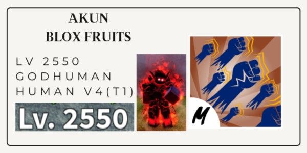 AKUN BLOX FRUIT - GODHUMAN + HUMAN V4 (T1)