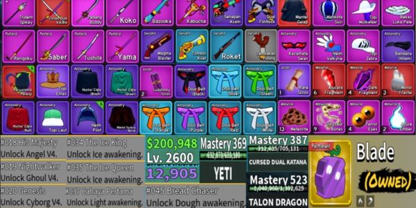 Account Blox Fruits 3 Race V4 Awakening (Detailed Description)