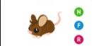Field Mouse NFR > पेट Adopt me