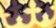 VIP | Anime Vanguards