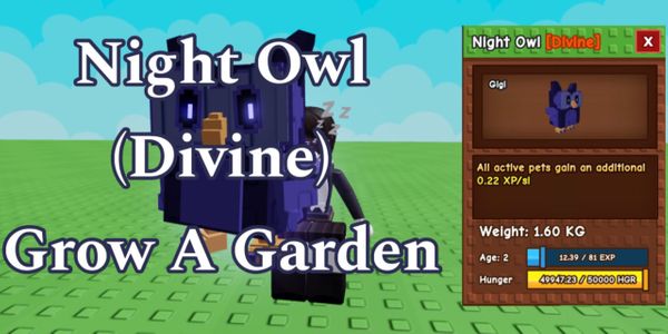 Night Owl - Grow A Garden