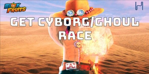 Jasa Race V1