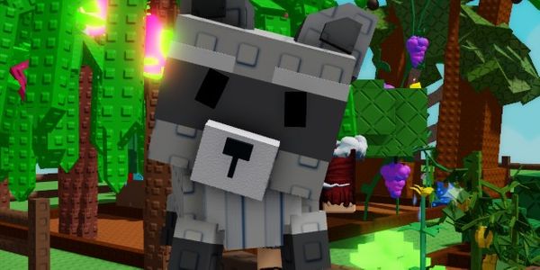 Pet Racoon - Grow A Garden (GAG)